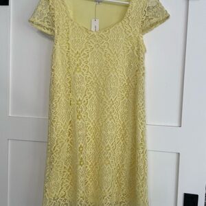 Francesca's Collections Yellow Flutter Sleeve Sheath Dress